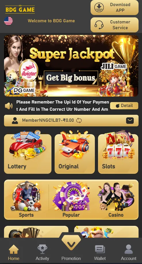 Types of games in the BDG app